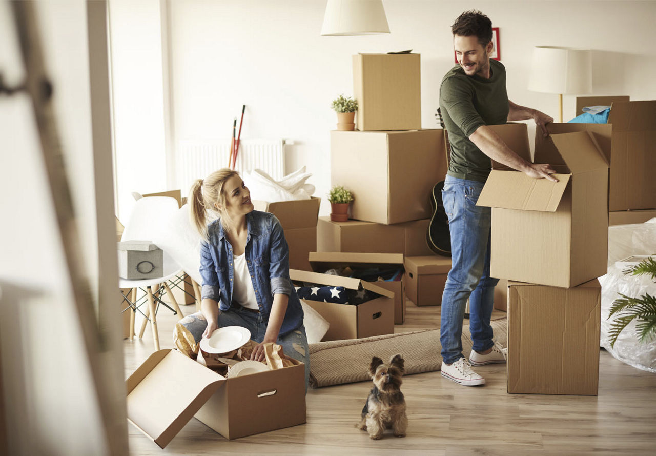 Moving With Your Pet | Greystar